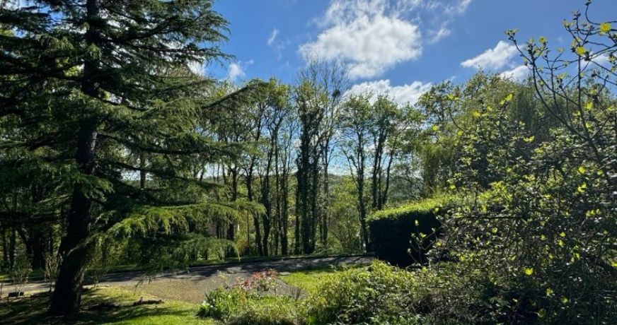 vente Maison Houlgate