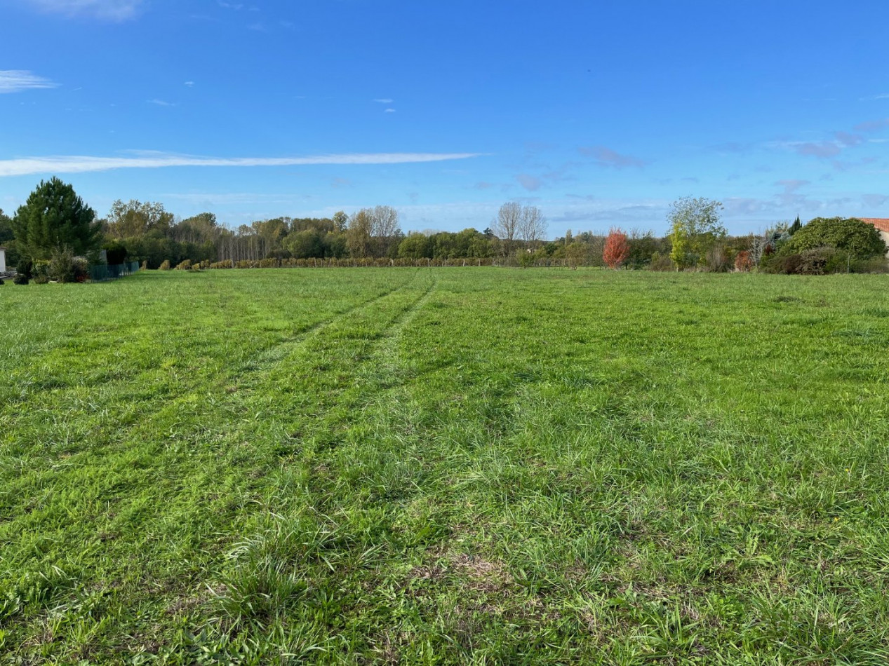 vente Terrain constructible Bassac - Photo 1