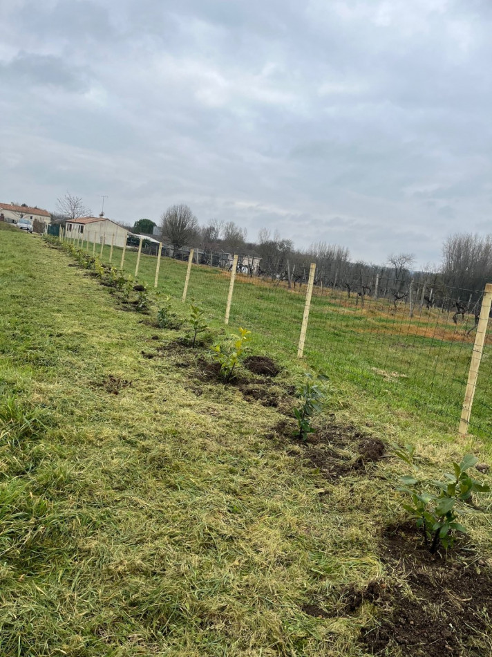 vente Terrain constructible Bassac - Photo 2