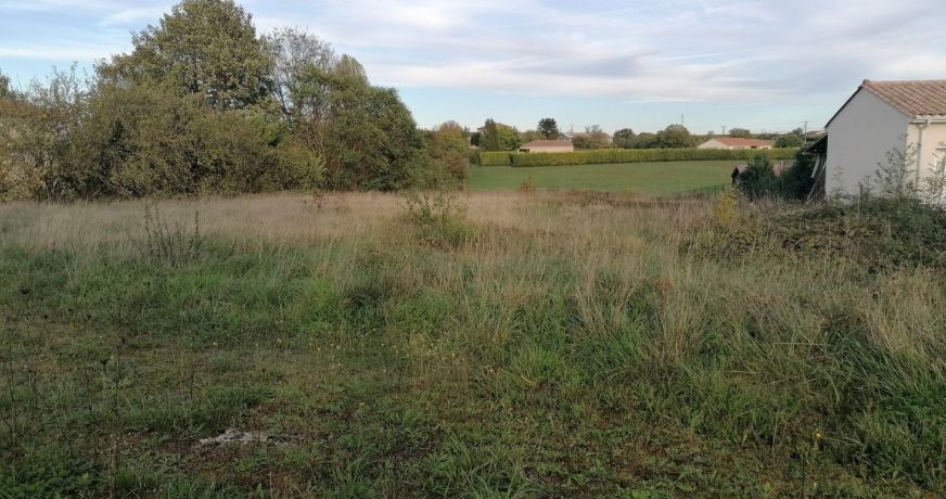 vente Terrain Echallat