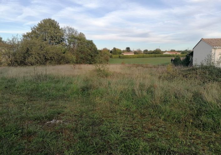 vente Terrain Echallat