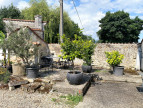location Maison de campagne Mosnac