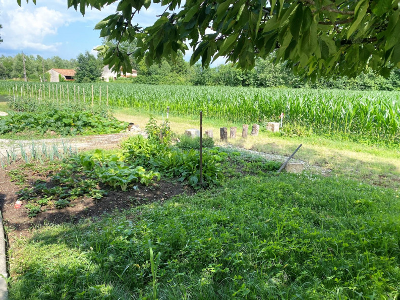 location Maison de campagne Mosnac - Photo 6