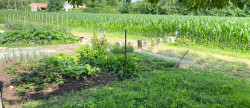 location Maison de campagne Mosnac