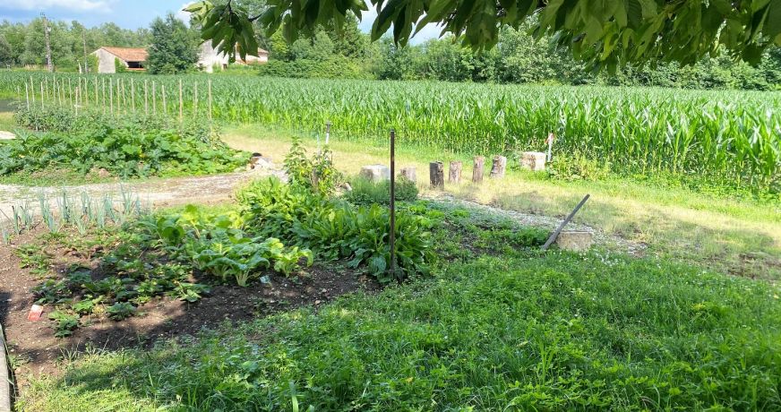 location Maison de campagne Mosnac