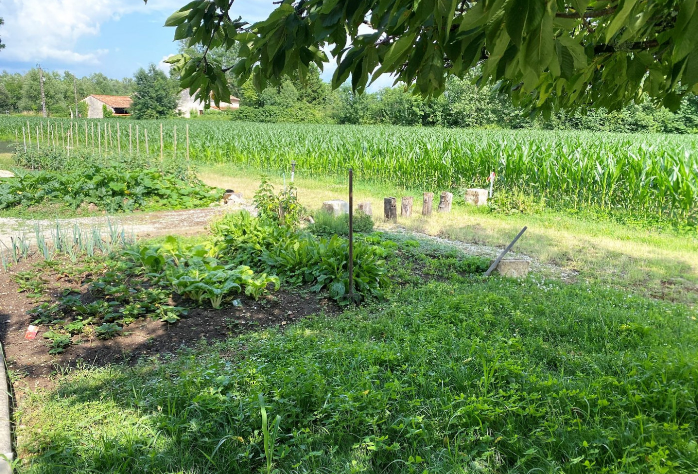location Maison de campagne Mosnac - Photo 6