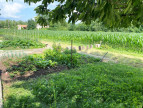 location Maison de campagne Mosnac