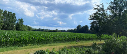 location Maison de campagne Mosnac