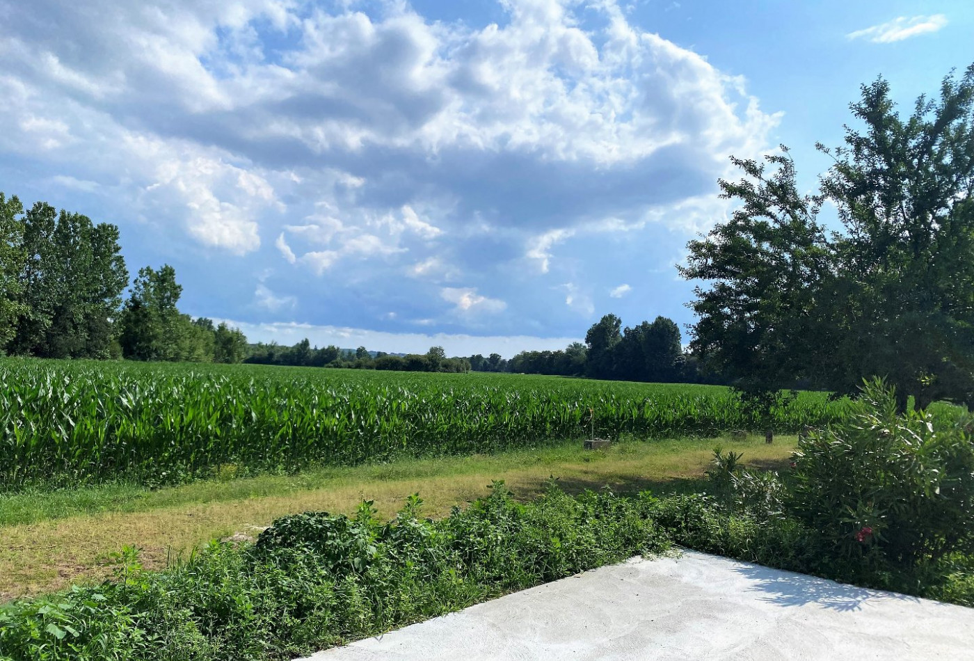location Maison de campagne Mosnac - Photo 7