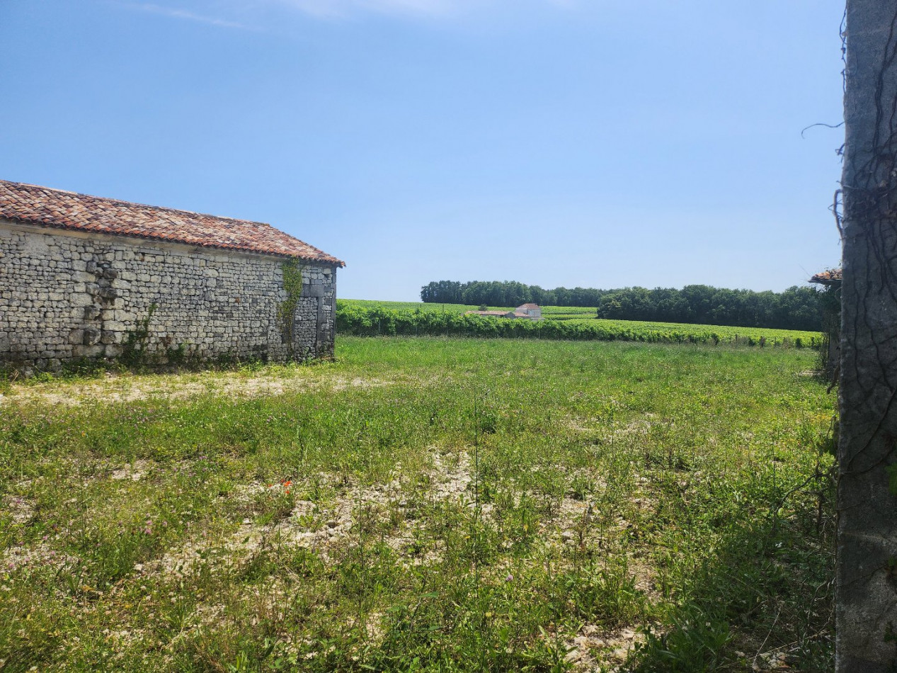 vente Maison Verrieres - Photo 9