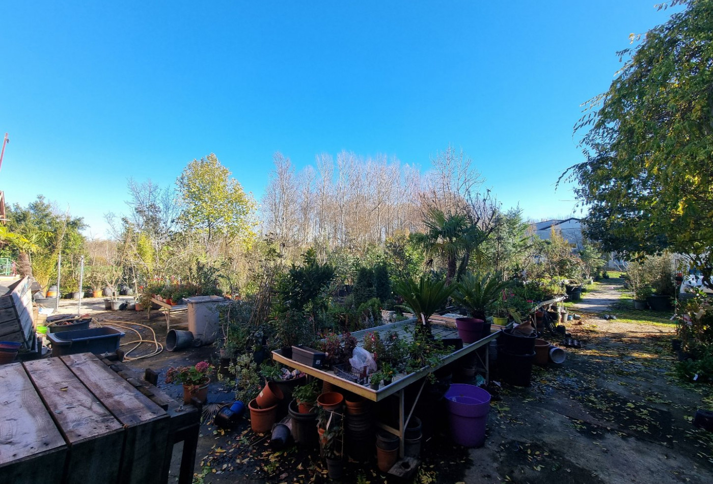 vente Bâtiment Mainxe - Photo 2