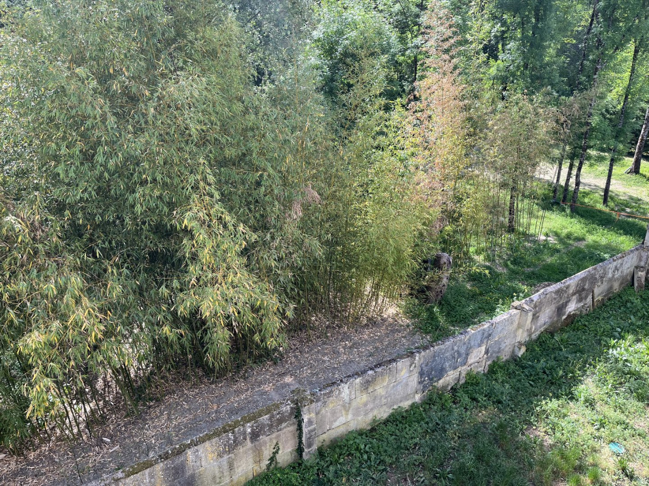 location Appartement Jarnac - Photo 3