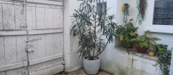vente Maison Jarnac