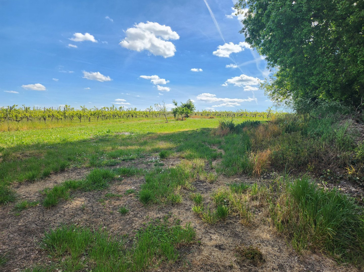 vente Maison Saint Amant De Graves - Photo 5