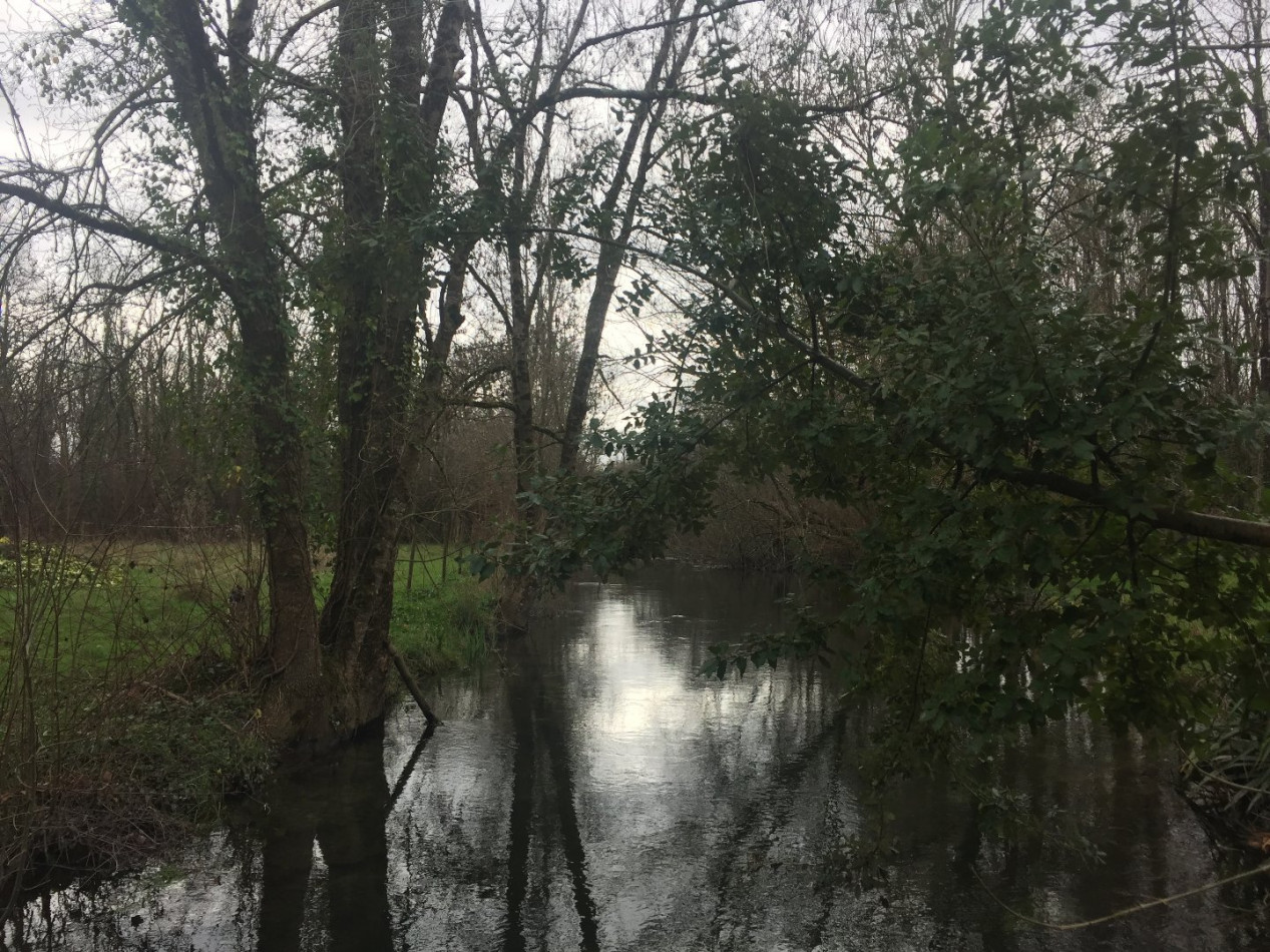 vente Maison Gensac La Pallue - Photo 3