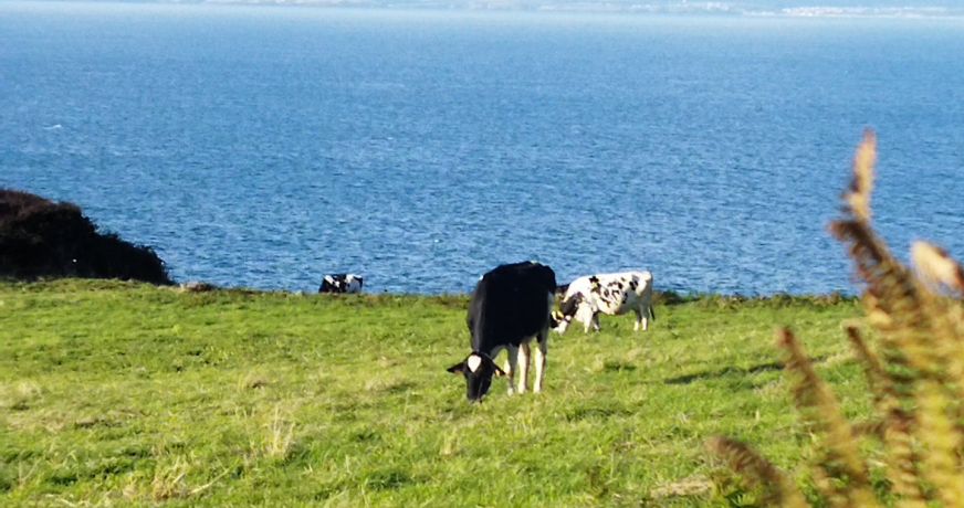 vente Maison Mahalon