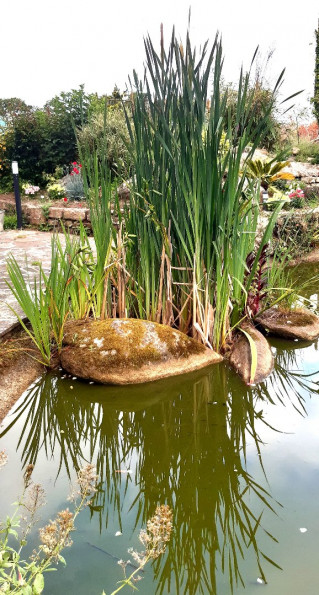 vente Maison Mahalon - Photo 3