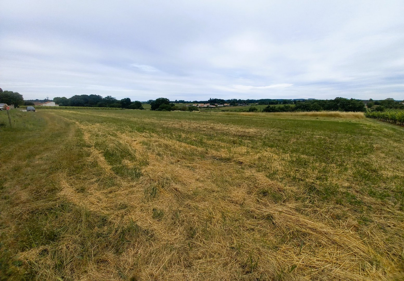 vente Terrain Bourg Charente - Photo 3