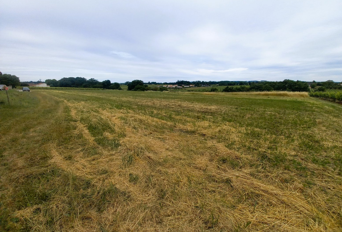 vente Terrain Bourg Charente - Photo 3