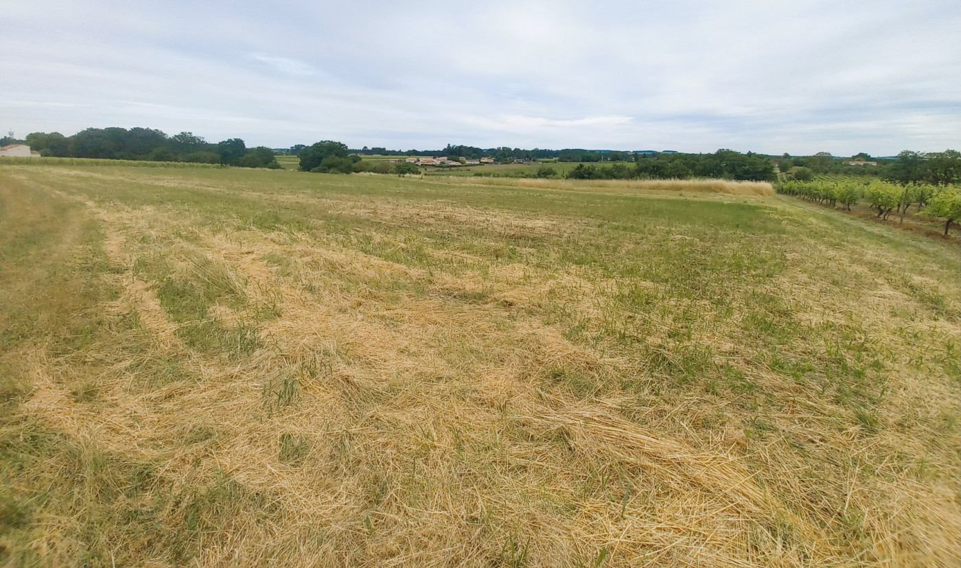 vente Terrain Bourg Charente - Photo 4