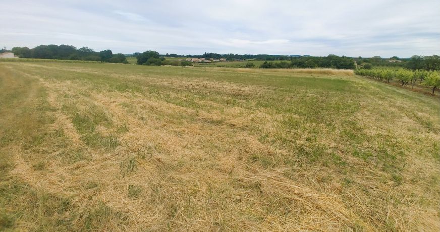 vente Terrain Bourg Charente