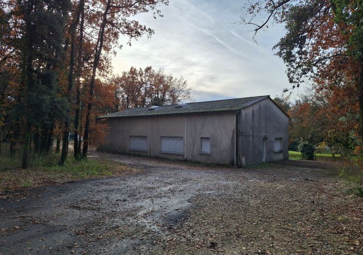 vente Atelier Gensac La Pallue