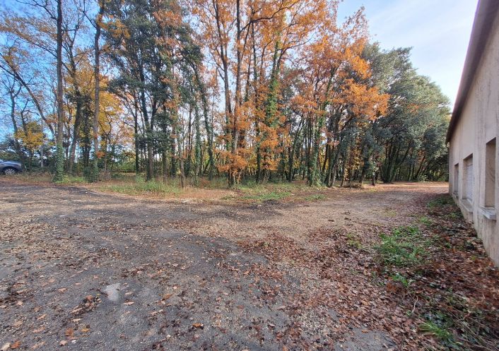 vente Atelier Gensac La Pallue