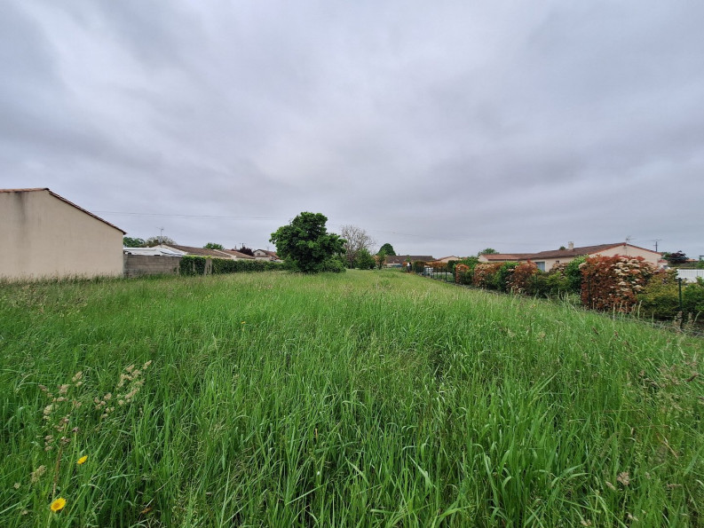 vente Terrain Segonzac - Photo 2