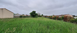 vente Terrain Segonzac