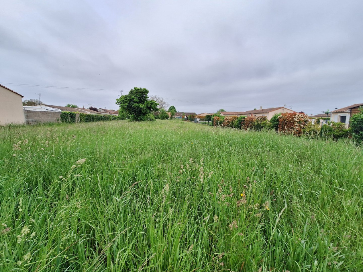 vente Terrain Segonzac - Photo 1