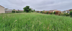 vente Terrain Segonzac