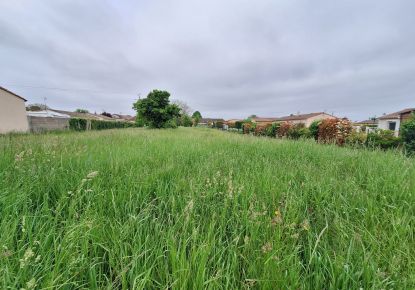 vente Terrain Segonzac