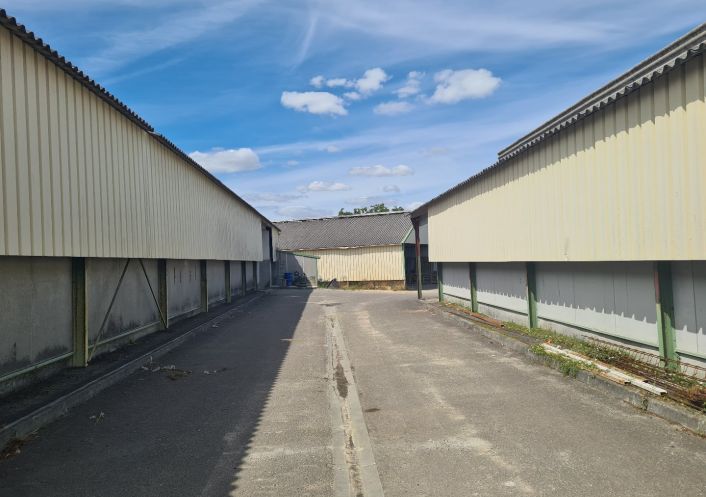 sale Entrepot Nersac