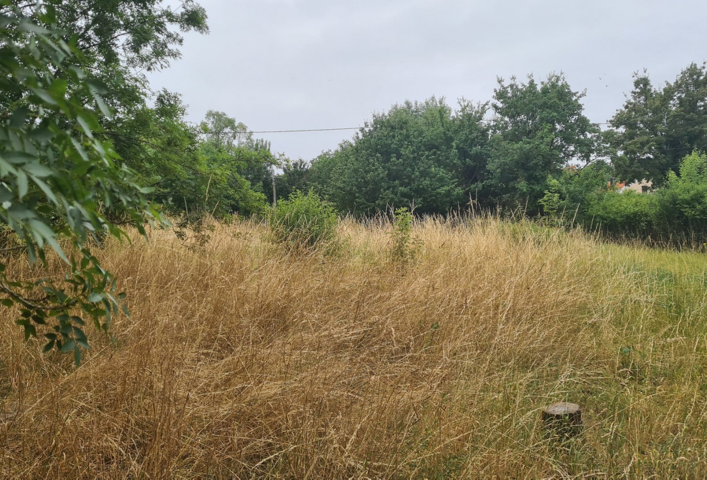 vente Terrain constructible Magnac Sur Touvre - Photo 2