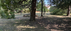 vente Terrain Saint Yrieix Sur Charente