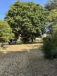 vente Terrain Saint Yrieix Sur Charente