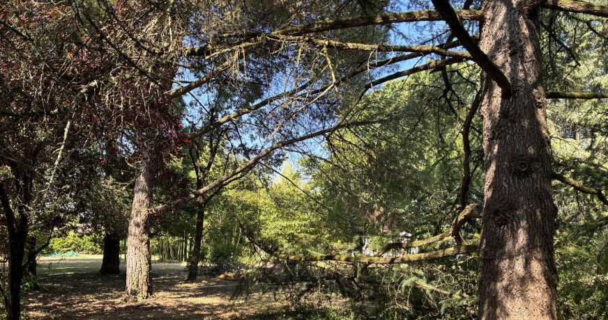 vente Terrain Saint Yrieix Sur Charente