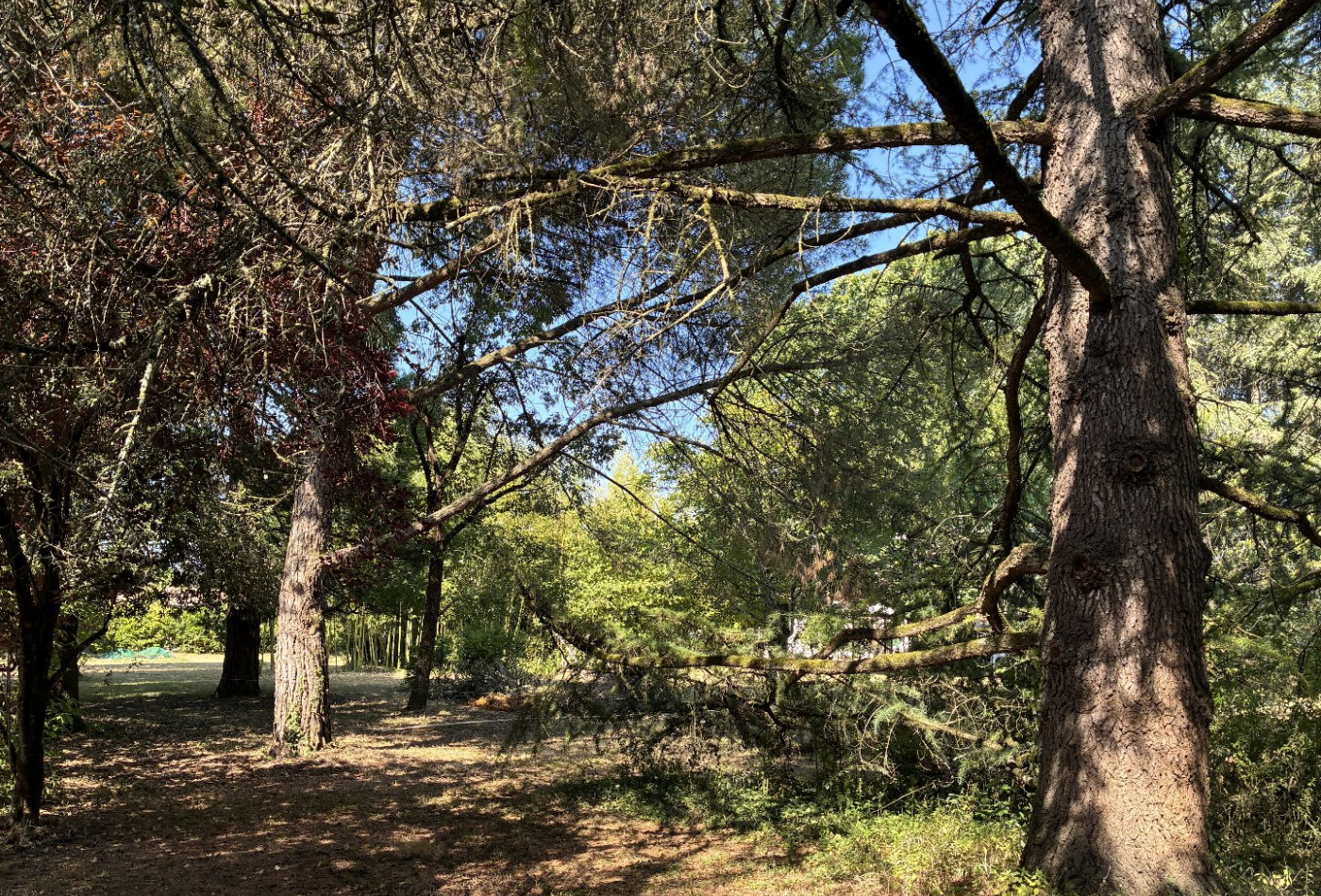 vente Terrain Saint Yrieix Sur Charente - Photo 2
