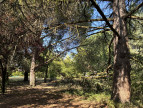 vente Terrain Saint Yrieix Sur Charente