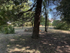 vente Terrain Saint Yrieix Sur Charente