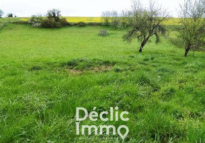 vente Terrain Gardes Le Pontaroux