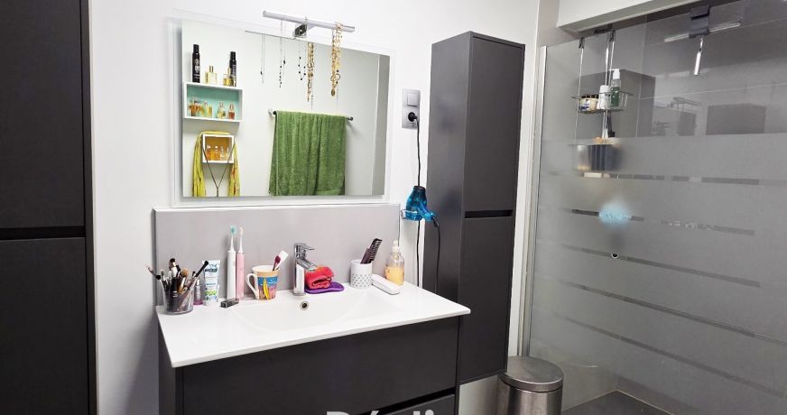 vente Ensemble immobilier Brie