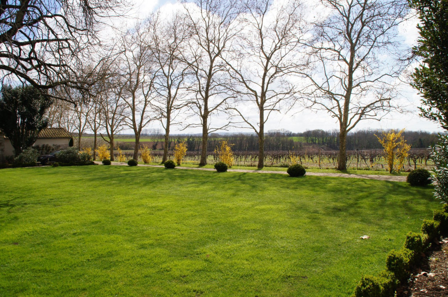 vente Demeure Jarnac - Photo 4