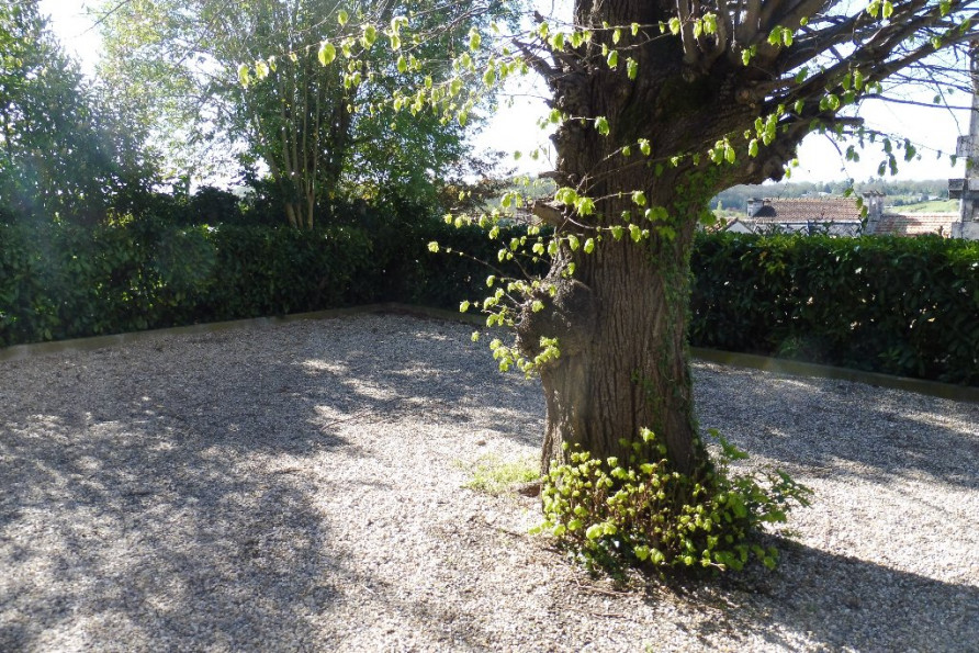 location Appartement Angouleme - Photo 7