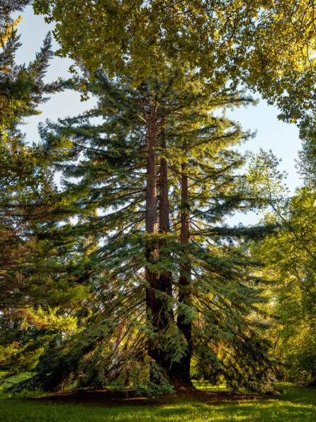 vente Maison bourgeoise Angouleme - Photo 9