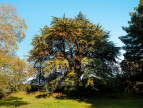 sale Maison bourgeoise Angouleme