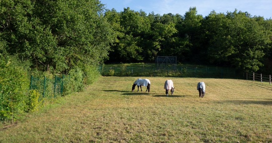 vente Manoir Segonzac