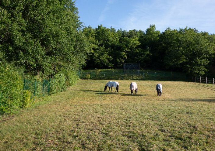 vente Manoir Segonzac
