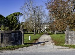 à vendre Segonzac