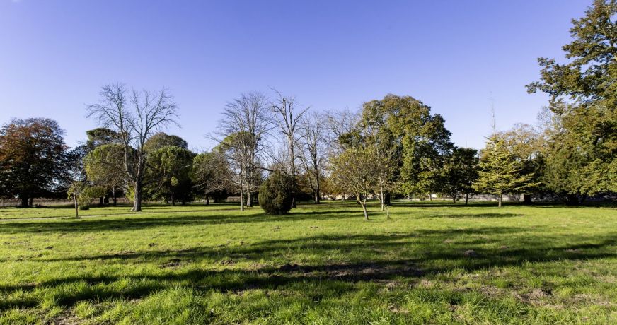 vente Demeure Segonzac